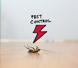 Cockroach Pest Control Melbourne