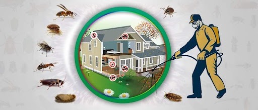Pest Control Company