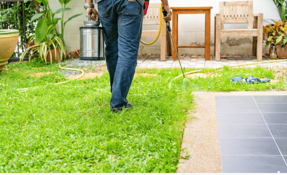 best-pest-control-Melbourne best pest control Melbourne