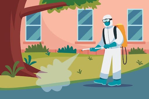 Termite Treatment