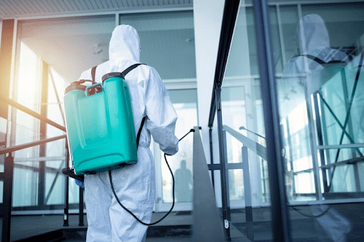 ant control and removal services in Melbourne