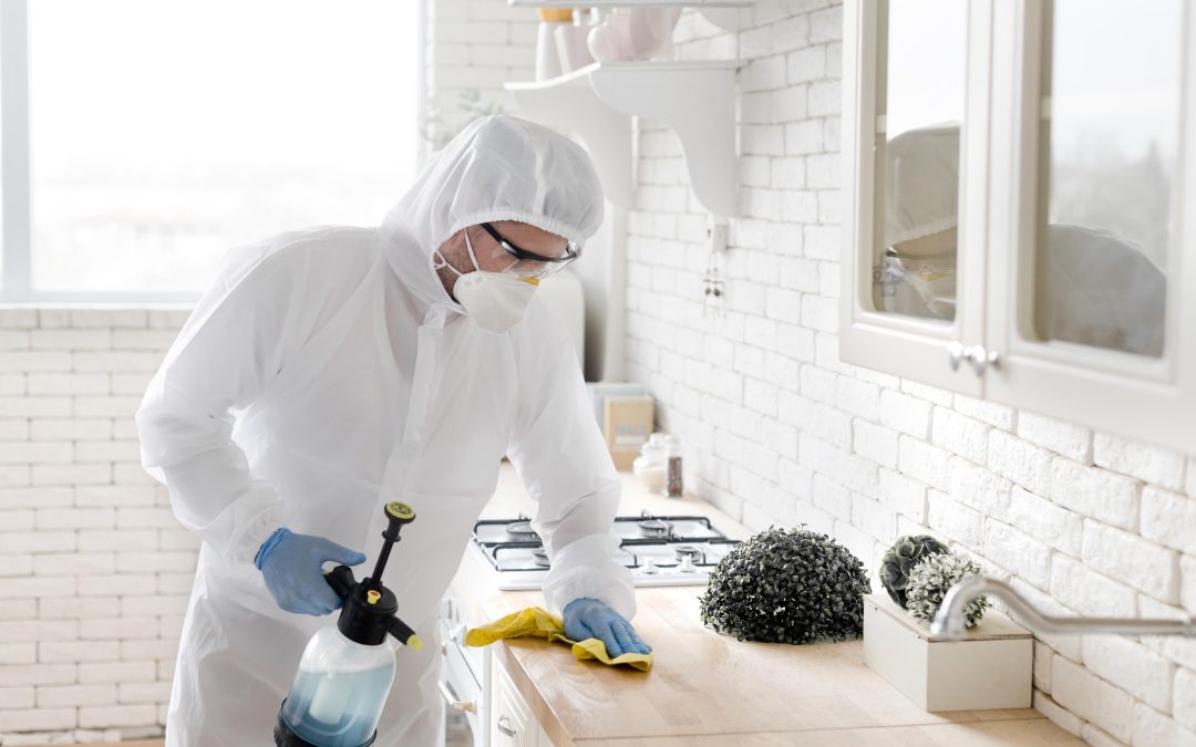How to protect your home from Australia’s common pests?