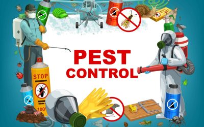 Who is responsible for pest control: landlord or tenants?