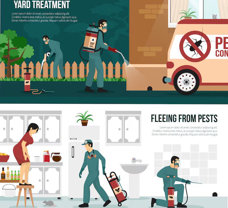 How to Keep Your Home Pest-Free This Melbourne Winter
