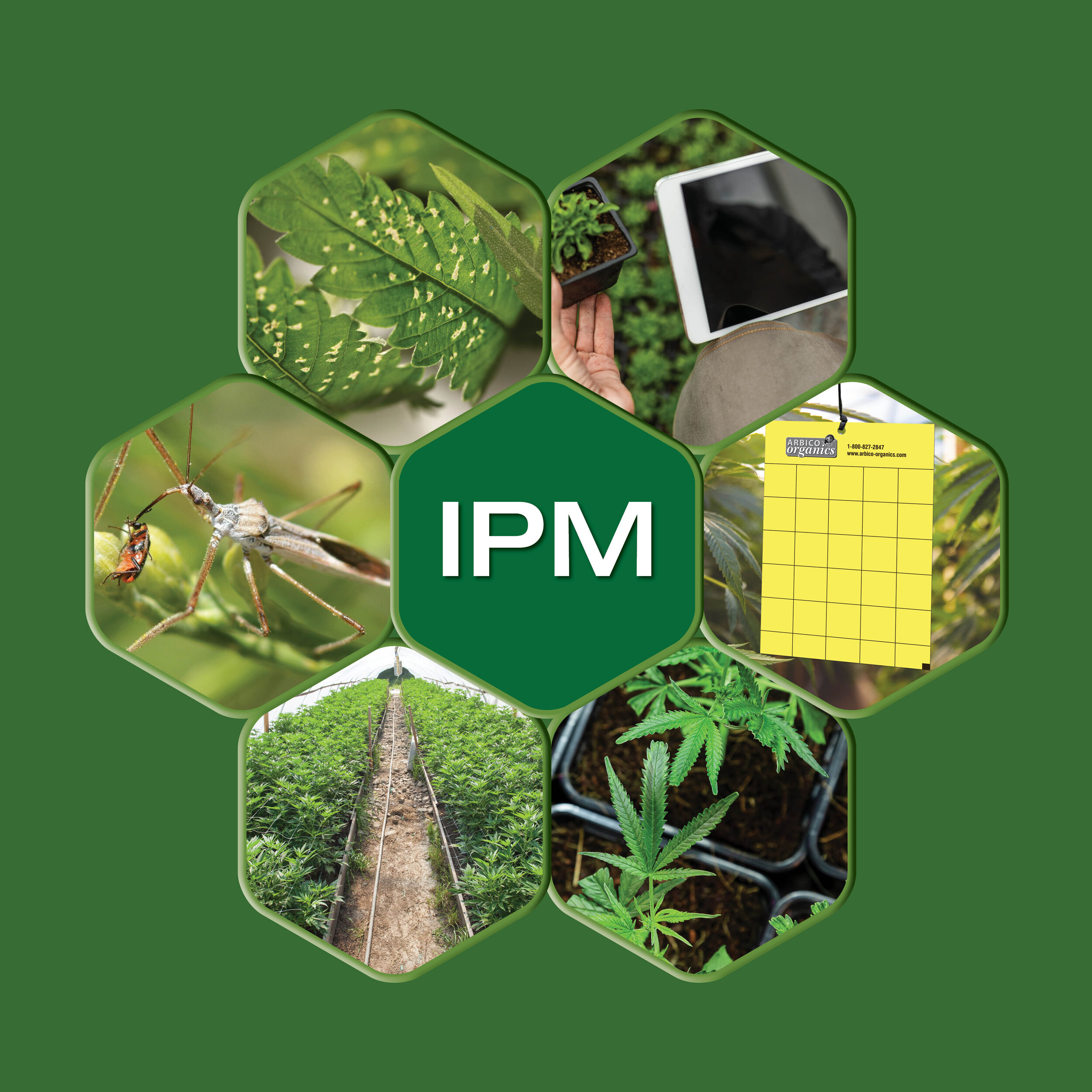 Integrated Pest Management (IPM)
